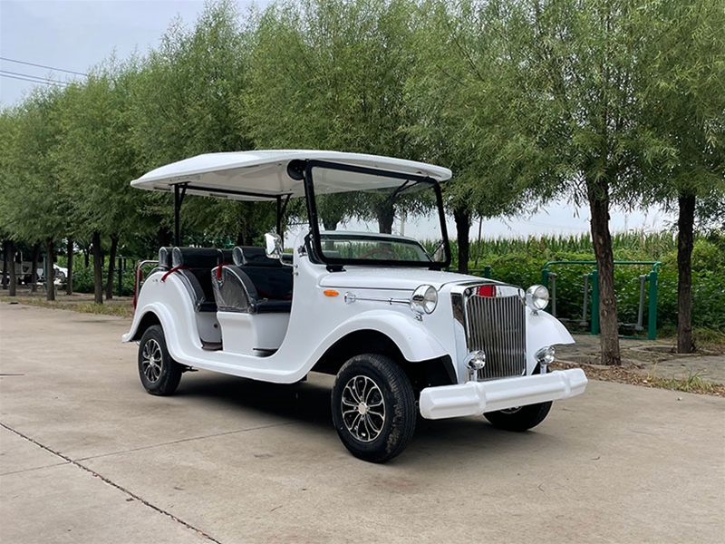 老爺車3排8坐