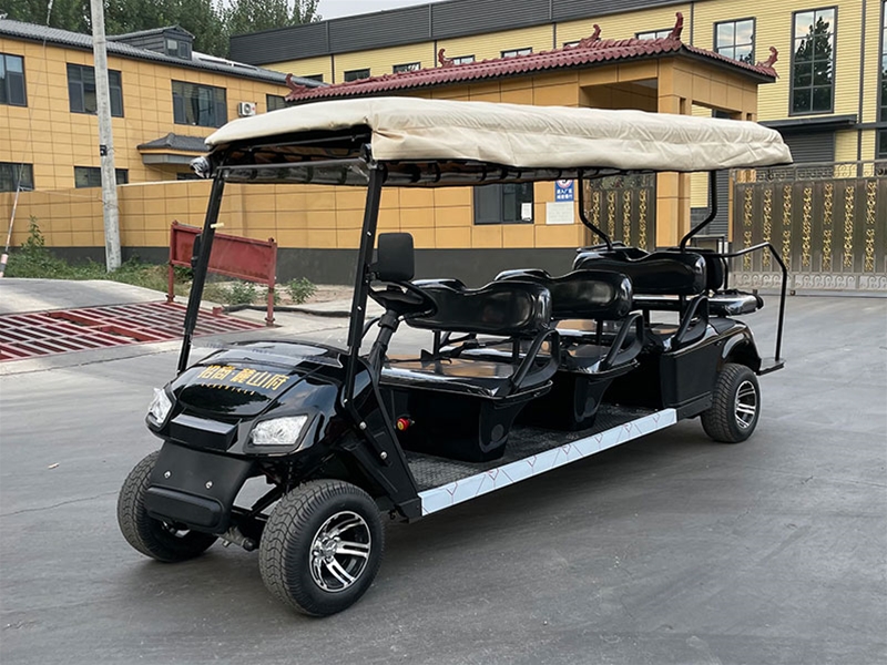 高爾夫球車（3+1排8坐）