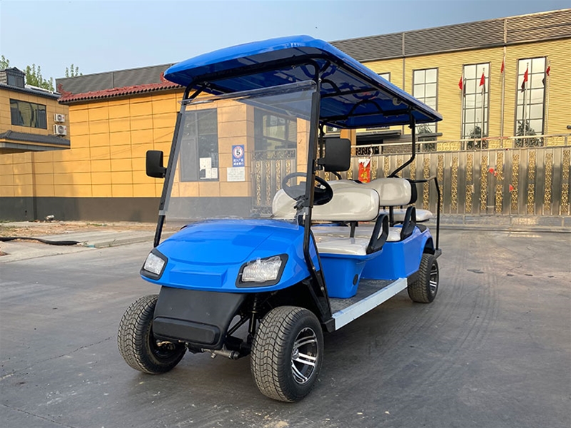 高爾夫球車（2+1排6坐）
