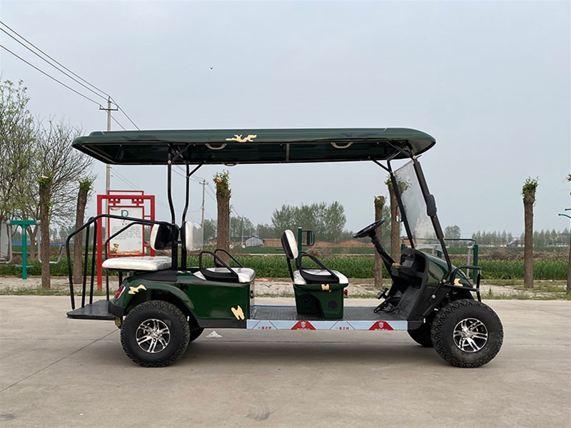 高爾夫球車（2+1排6坐）